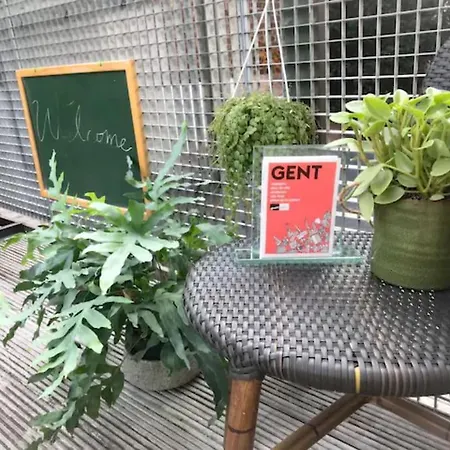 Chere Anna Center New Location * גנט