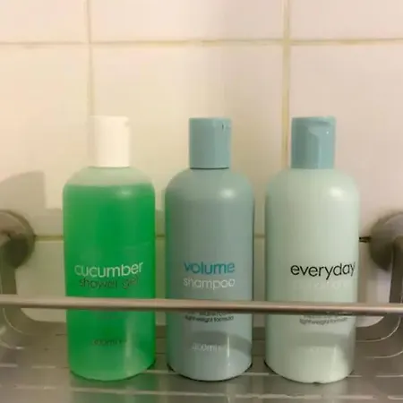 Chere Anna Center New Location Apartment